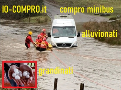compro bus, furgoni multi passeggeri, distrutti o alluvionati